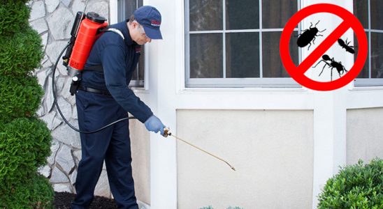 Odunpazarı Gümüşkurt İlaçlama böcek ilaçlama ve haşere kontrolü — ilaclama-tr.com